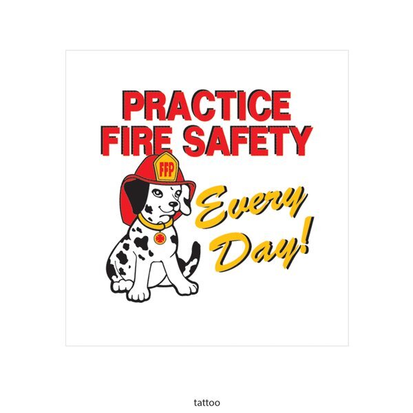 Rookie Fire Safety Teaching Aid Kit, Stock