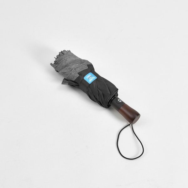 Park Avenue Fashion Auto Open/Close Inverted Folding Umbrella, 46" Arc