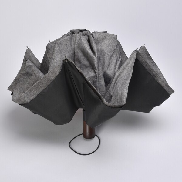 Park Avenue Fashion Auto Open/Close Inverted Folding Umbrella, 46" Arc