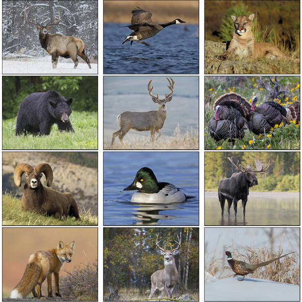 Sportsman Wall Calendar