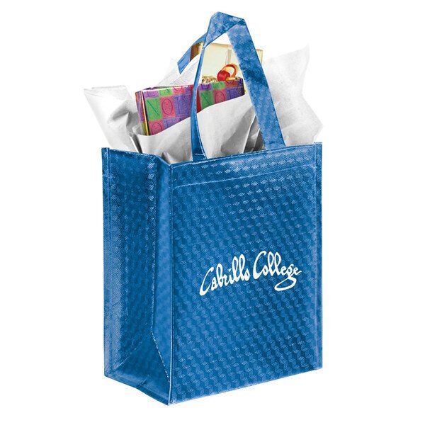 Metallic Laminated Non Woven Gift Bag