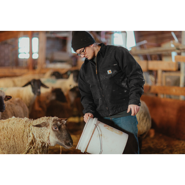 Carhartt® Duck Detroit Men's Jacket