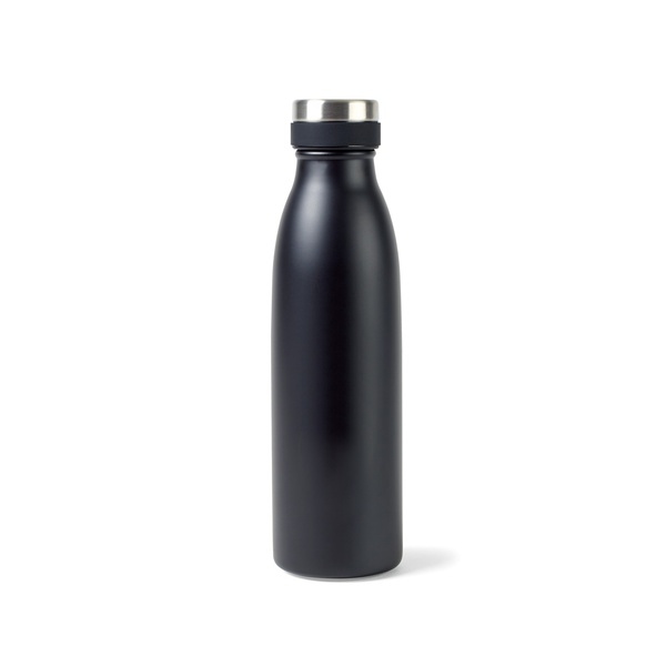 Aviana™ Palmer Double Wall Stainless Bottle, 17oz.