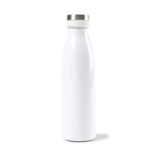 Aviana™ Palmer Double Wall Stainless Bottle, 17oz.