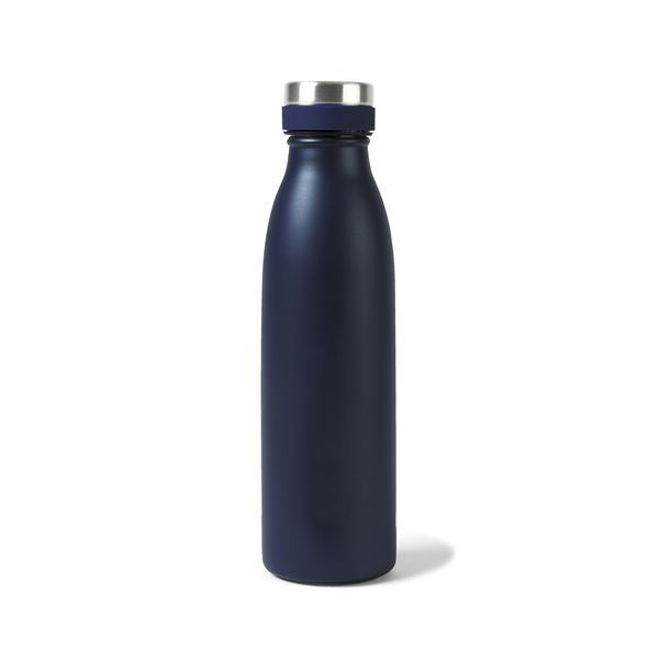 Aviana™ Palmer Double Wall Stainless Bottle, 17oz.