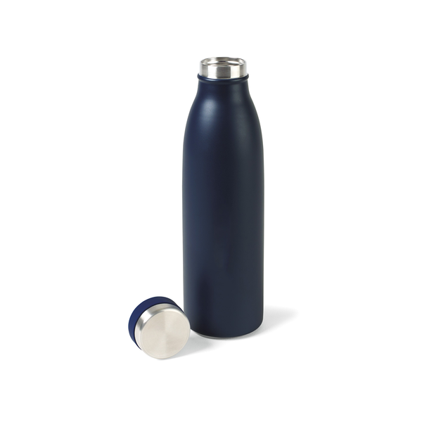 Aviana™ Palmer Double Wall Stainless Bottle, 17oz.