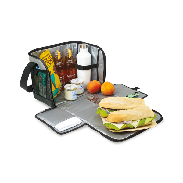 Goodwin 24 Can Deluxe Box Cooler