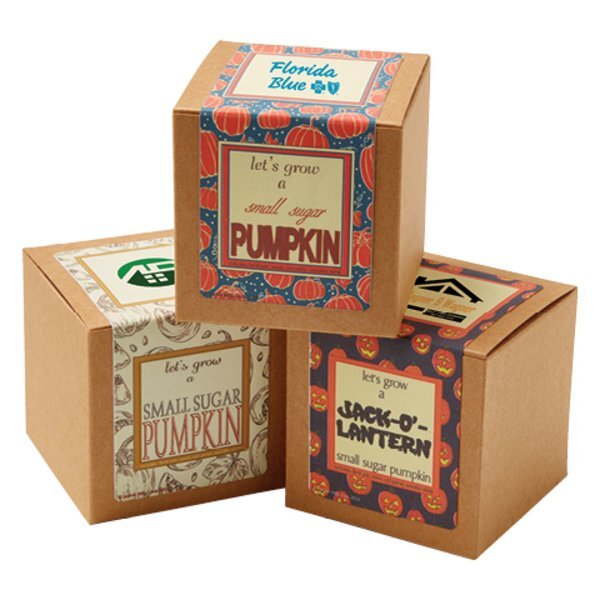 Small Sugar Pumpkin Growables Planter in Kraft Gift Box w/ Label