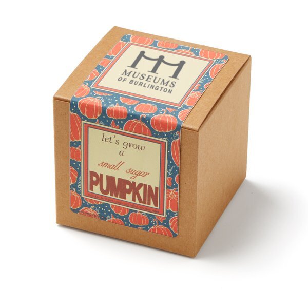 Small Sugar Pumpkin Growables Planter in Kraft Gift Box w/ Label