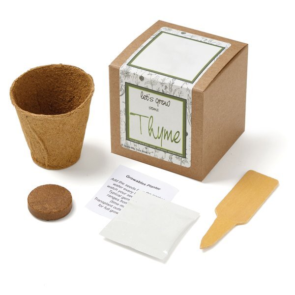Thyme Growables Planter in Kraft Gift Box w/ Label