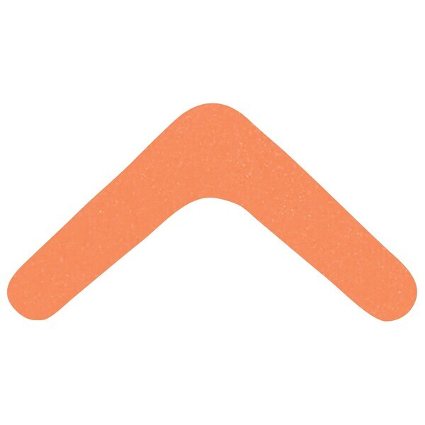 Foam Boomerang Flyer