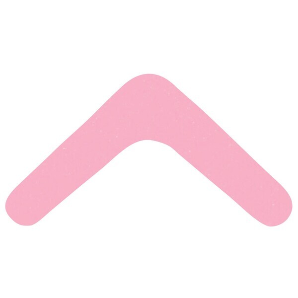 Foam Boomerang Flyer