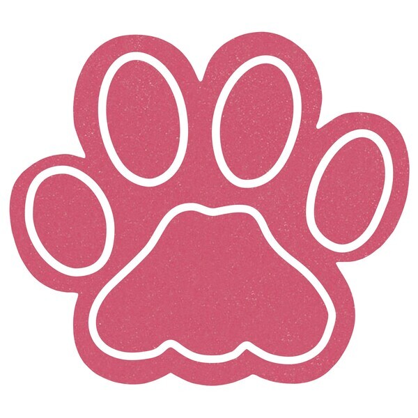 Foam Paw Mitt, 12.5"