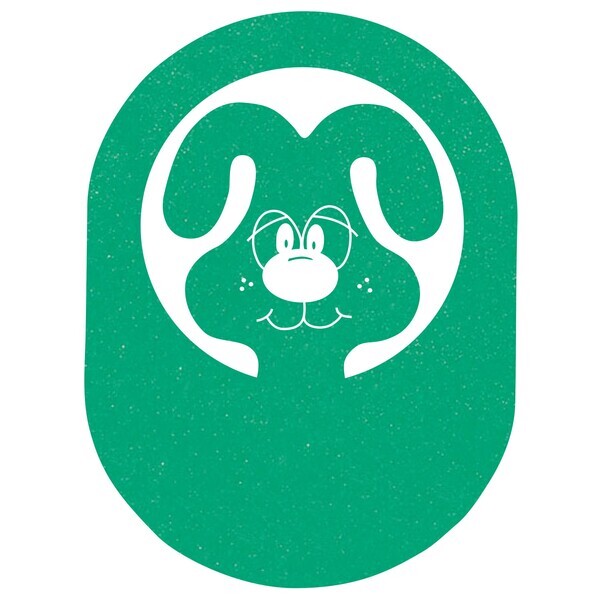 Foam Bunny Rabbit Visor