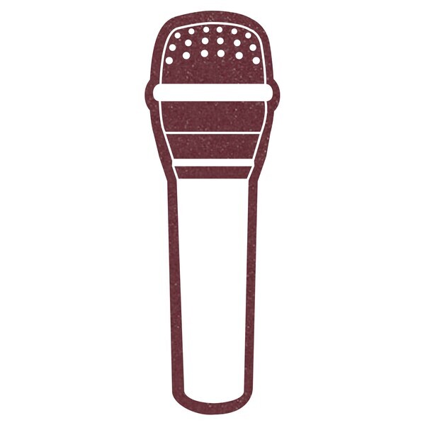 Foam Microphone, 10"