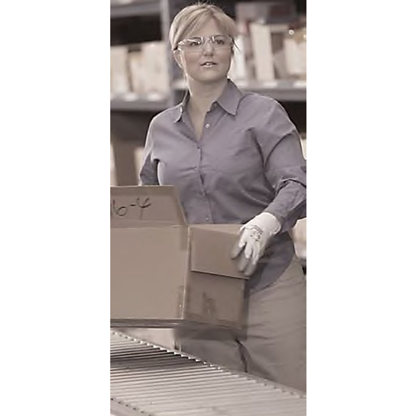 Bollé Rush Clear Safety Glasses