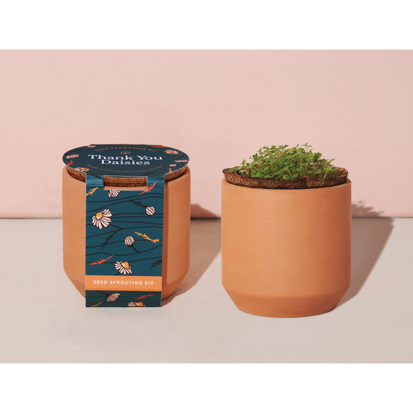 Modern Sprout® Tiny Terracotta Grow Kit - Thank You Daisies