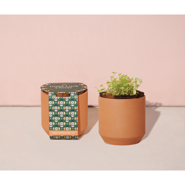Modern Sprout® Tiny Terracotta Grow Kit - Good Luck Clover