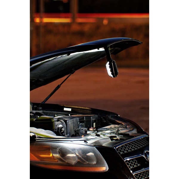 Magnum COB Worklight