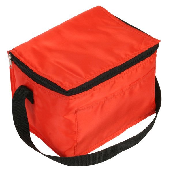 Snow Roller 6-Pack Polyester Insulated Cooler Bag