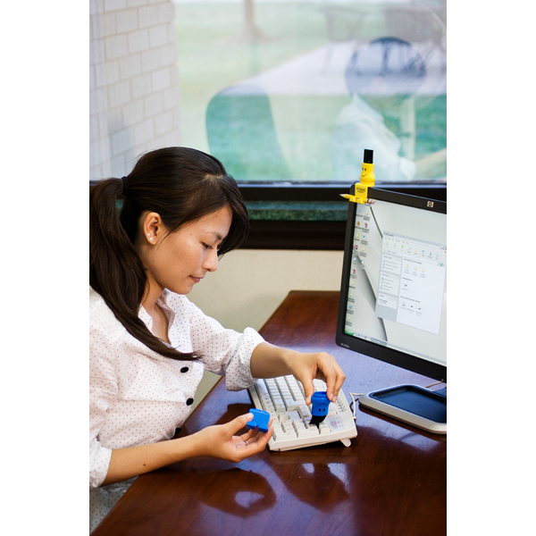 Bristle Buddy Computer Duster
