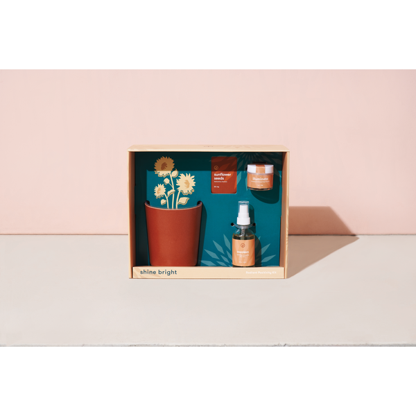 Modern Sprout® Shine Bright Take Care Sunflower Kit