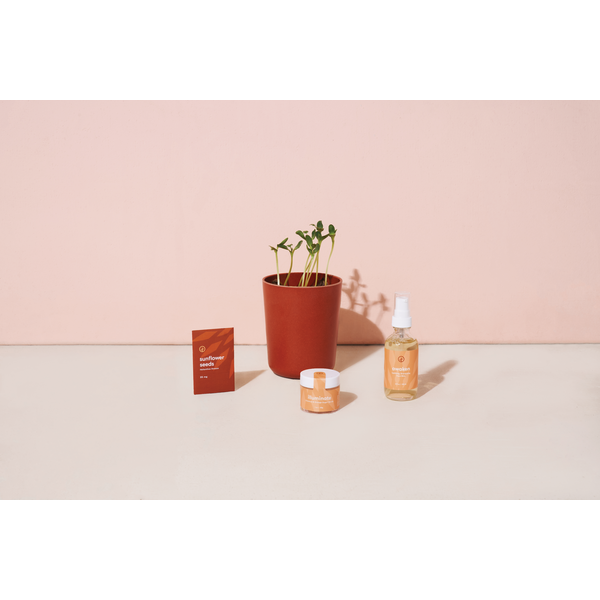 Modern Sprout® Shine Bright Take Care Sunflower Kit