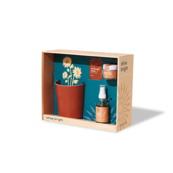 Modern Sprout® Shine Bright Take Care Sunflower Kit