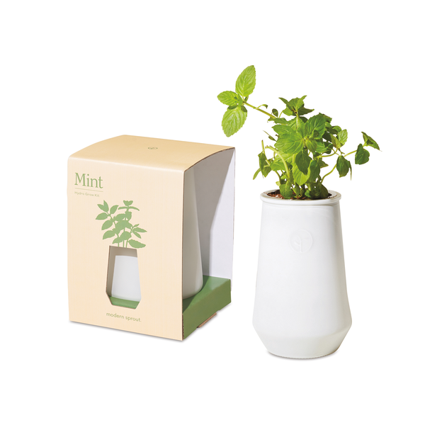 Modern Sprout® Tapered Tumbler Mint Grow Kit