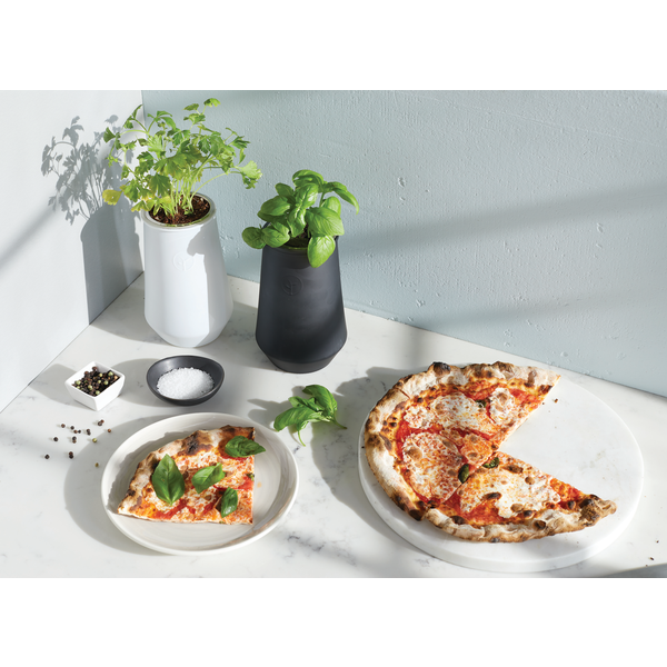 Modern Sprout® Tapered Tumbler Mint Grow Kit