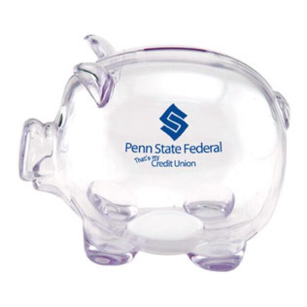 Mr. Piggy Bank
