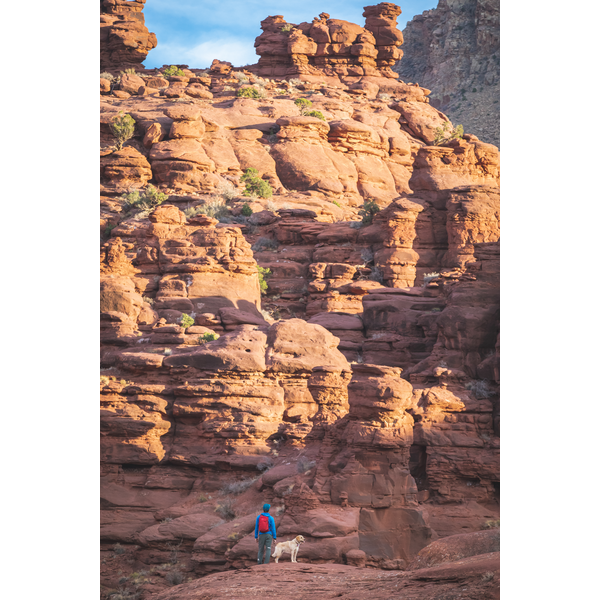 Osprey® Daylite® Recycled Polyester Backpack