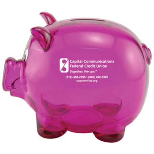 Mr. Piggy Bank