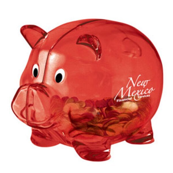 Mr. Piggy Bank