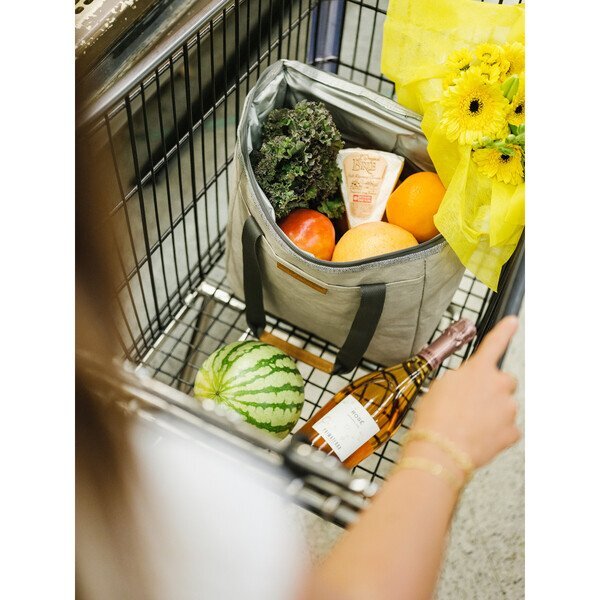 Out of the Woods® Supernatural Paper™ Dolphin 24 Can Cooler