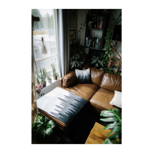 tentree® Organic Cotton Juniper Blanket, 60" x 60"