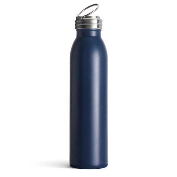 Swig Life™ Stainless Steel Vacuum Insulated Bottle, 20oz.