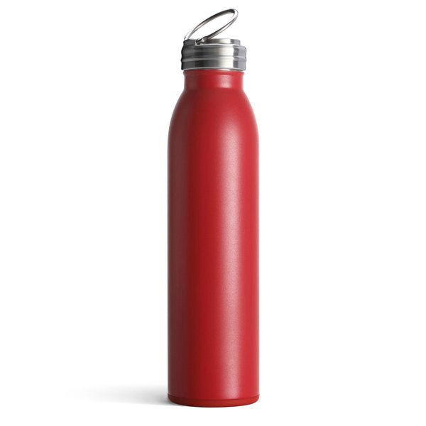 Swig Life™ Stainless Steel Vacuum Insulated Bottle, 20oz.