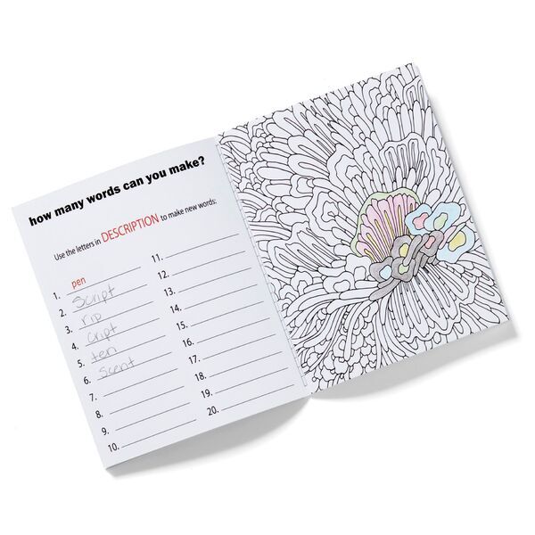 Deluxe Adult Activity Journal Book