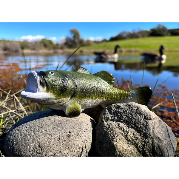 Bass Big Mouth Stress Reliever