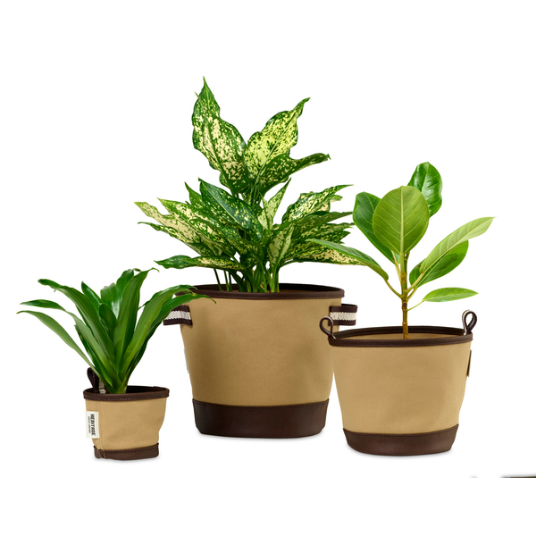 Heritage Supply™ Plant, Grow & Store Trio of Fabric Pots