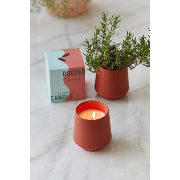 Modern Sprout® Rooted Candle - Rosemary