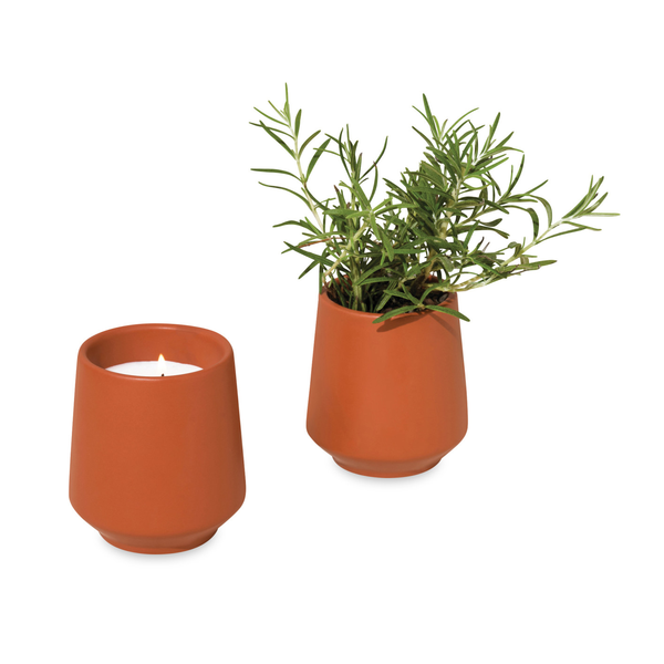 Modern Sprout® Rooted Candle - Rosemary