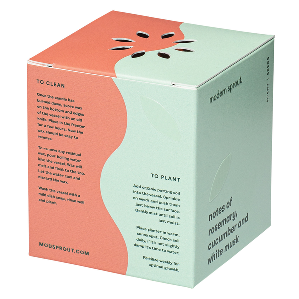Modern Sprout® Rooted Candle - Rosemary