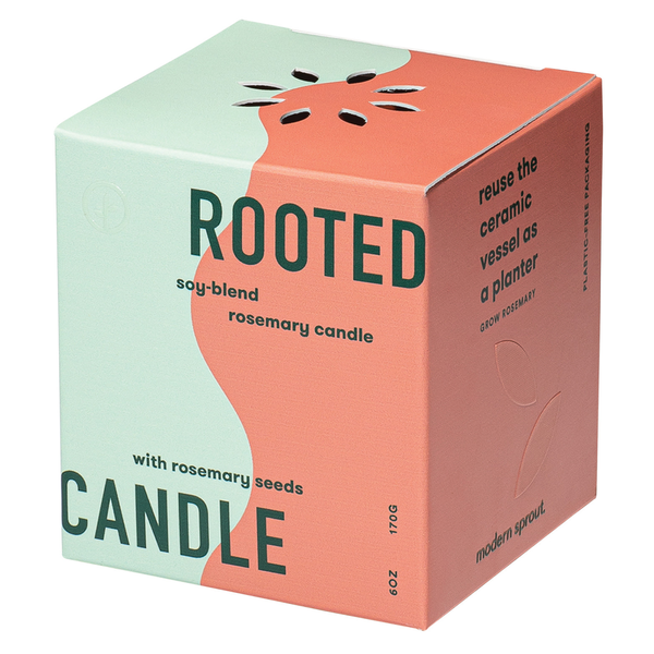 Modern Sprout® Rooted Candle - Rosemary