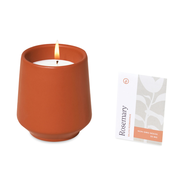 Modern Sprout® Rooted Candle - Rosemary