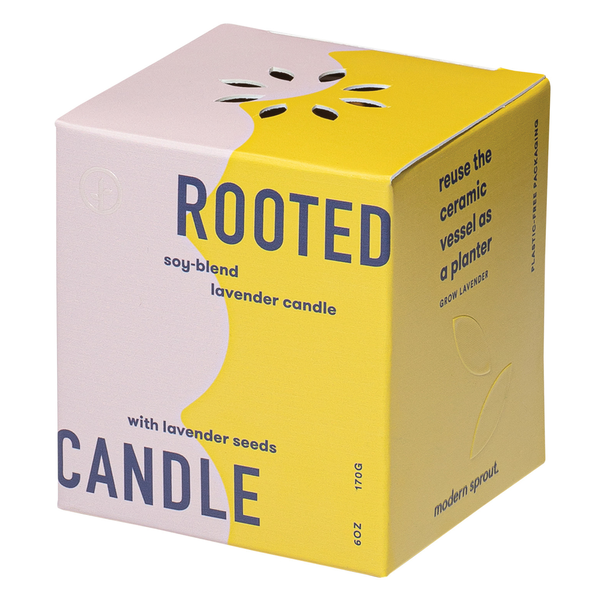 Modern Sprout® Rooted Candle - Lavender