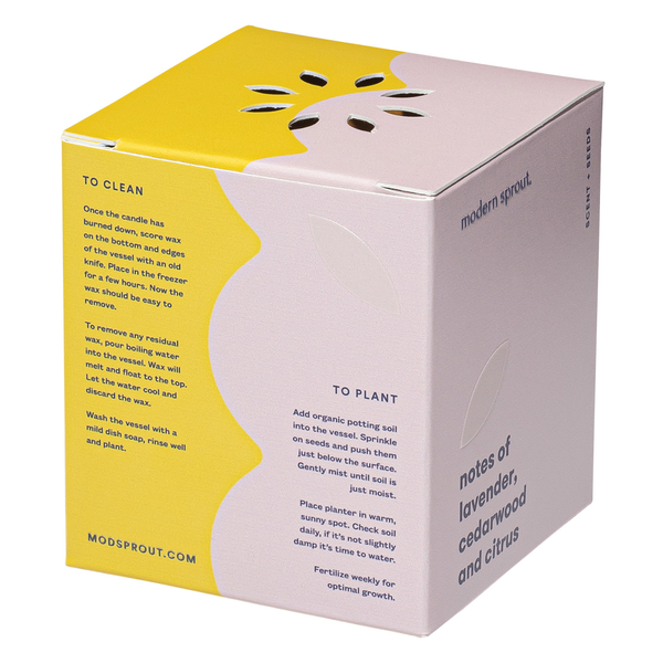 Modern Sprout® Rooted Candle - Lavender