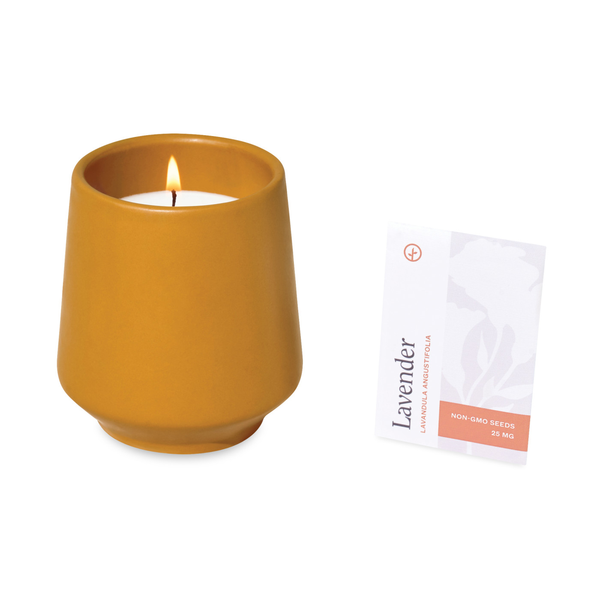 Modern Sprout® Rooted Candle - Lavender