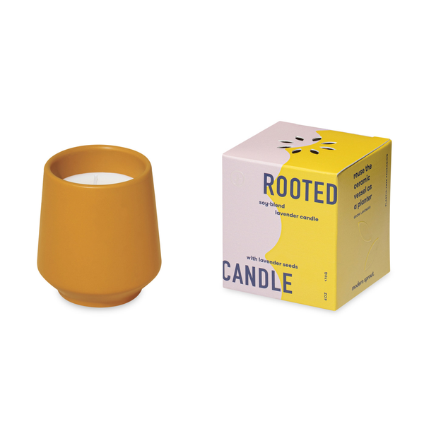 Modern Sprout® Rooted Candle - Lavender